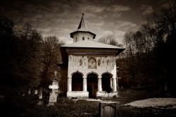 actylise 
Manastirea Sfanta Treime - Valea Manastirii 
2010-05-09 08:13:26