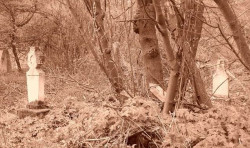 sepia 
!!! 
2010-05-09 17:04:03