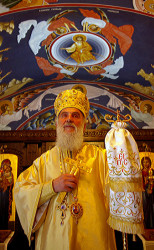 Danijela 
Његова Светост Патријарх српски Г. Иринеј 
2010-05-17 13:36:25