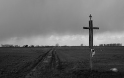 Adam Falkowski 
Między niebem a ziemią ... 
2010-05-17 21:18:49