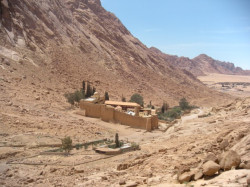 maria1 
Holy Monastery of St. Catherine at Mount Sinai  
159 
2010-05-25 20:10:08