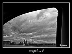 radudinu 
Angel...? 
2010-05-26 19:11:22