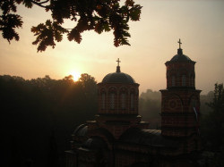 srb.in 
Ђунис 
2010-05-30 18:24:48