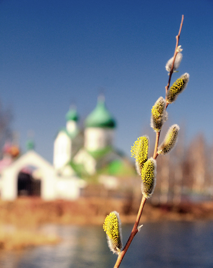 Открытка к празднику Входа Господнего в Иерусалим...