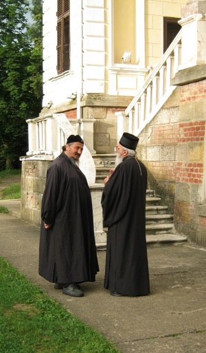 Владике