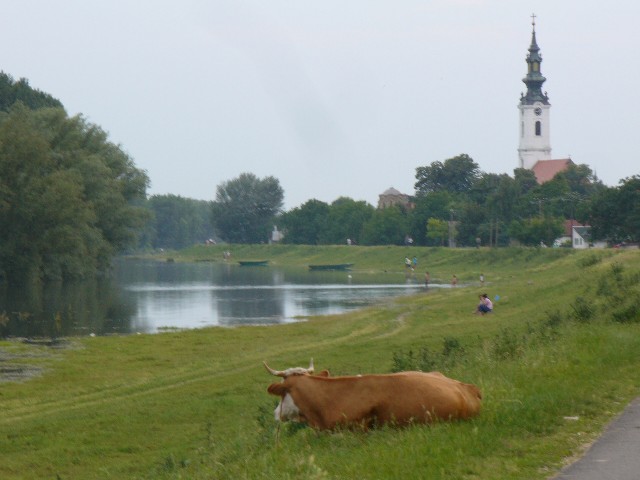 Парохијска црква Футог
