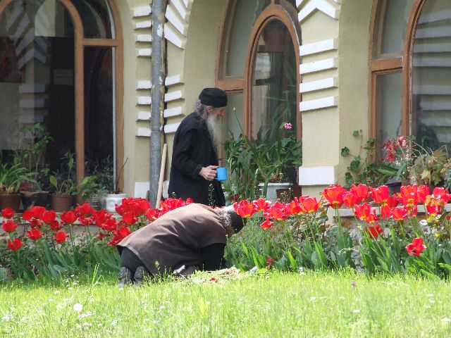 Мушки манастир Студеница