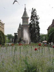 maksim 
Саборни храм Темишвар 
2010-06-06 23:12:35