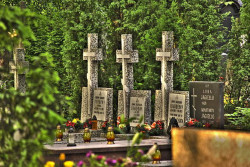 marcin__c 
Spokojni 
2010-06-11 18:37:15