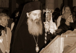 кетеван 
Викарни епископ Тирански г. Николај (Гика) 
2010-06-17 11:21:56