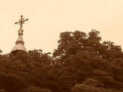 sepia 
*+*+*+*+*+*+*+* 
2010-06-22 13:21:40