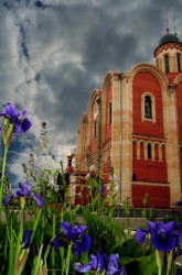 alf-alina 
Небо начинает сердиться 
2010-06-22 22:05:54