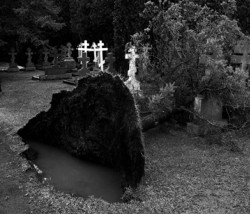 orthodoxy_77 
Живот!!!! 
2010-06-25 14:43:01