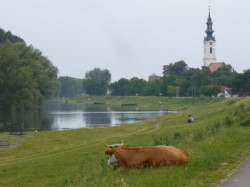 Ljuba Rus 
Парохијска црква Футог 
2010-06-25 23:47:58