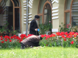 Ljuba Rus 
Мушки манастир Студеница 
2010-06-29 10:05:00