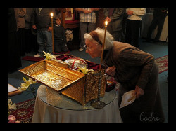 codre 
inchinare-worship 
2010-06-29 11:39:51