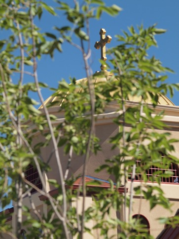 The new cross and tree