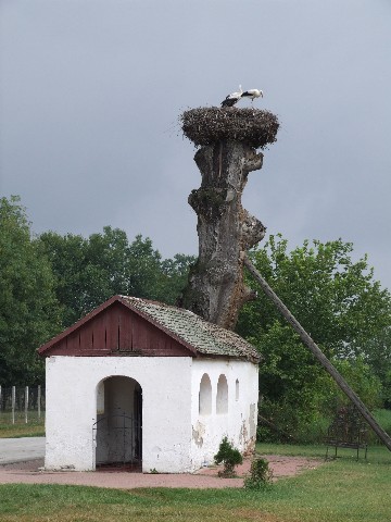 Св.Петка Манастир Ковиљ