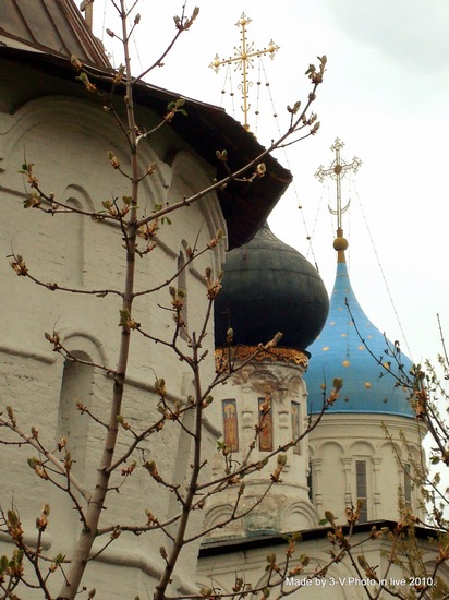 Весенний взгляд&Spring view