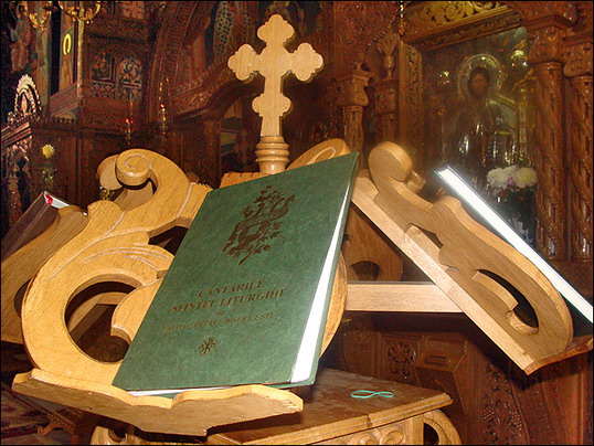 "Cânta-voi Domnului în viaţa mea. Cânta-voi Dumnezeului meu cât voi fi."(Ps. 103, 34) 