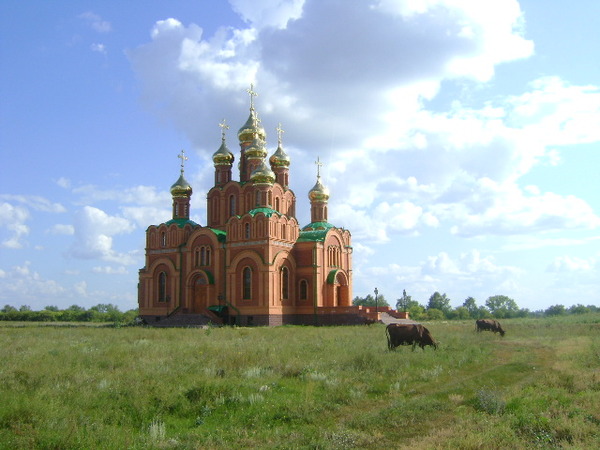 Божьи коровки