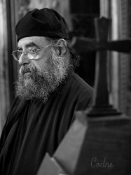 codre 
portret 
2010-07-02 18:00:26
