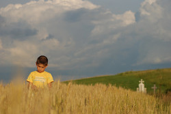 ovidiu_m 
 
223 
2010-07-03 06:52:57