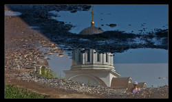 felix 
После кише - After the rain 
2010-07-14 10:51:33