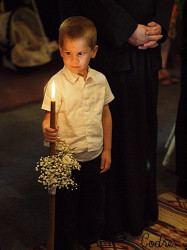 codre 
at wedding 
2010-07-18 13:00:10