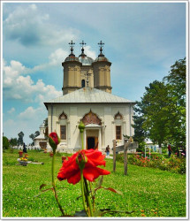 Florina 
Sfanta Manastire Pasarea | Ilfov 
203 
2010-07-18 22:49:07