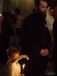 codre 
at wedding 
2010-07-26 07:40:51