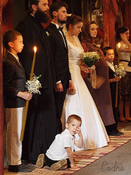 codre 
”GabarEL” 's wedding 
2010-07-29 08:19:17