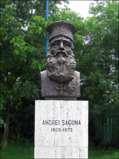 Andrei Saguna, Metropolitan of Transilvania in 19th century
