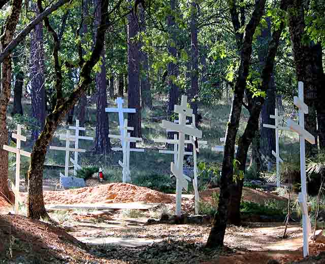 Crosses in the woods