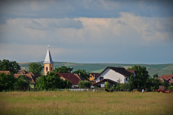 ovidiu_m 
 
2010-08-08 07:56:43
