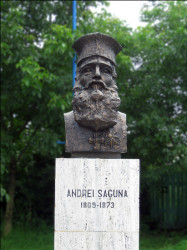 cosmin 
Andrei Saguna, Metropolitan of Transilvania in 19th century 
2010-08-10 22:48:11
