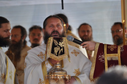 octav 
Pe voi pe toti sa va pomeneasca Domnul Dumnezeu intru Imparatia Sa 
2010-08-26 10:56:00