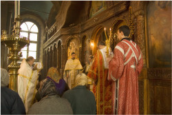 serj 
Томина неделя 
2010-08-29 14:40:22