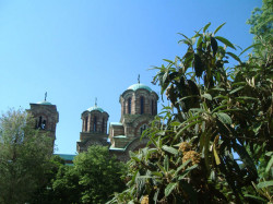 lstefanovic 
Црква светог Марка на Ташмајдану 
2010-08-30 17:43:52