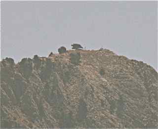 Holy Cross