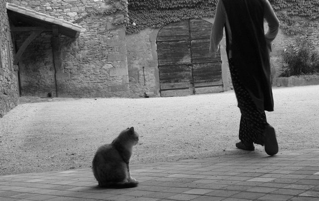 Monaster Solan
