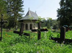 Mitrut Popoiu 
Dragomirna 
2010-09-03 16:44:56