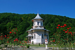 ovidiu_m 
 
2010-09-05 11:43:18