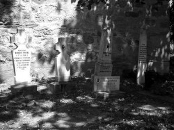 sepia 
! ! ! 
2010-09-08 20:13:46