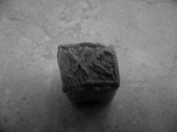 sepia 
IC XC + NI KA 
2010-09-15 20:32:18