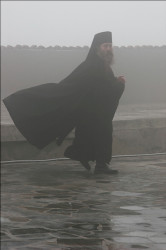 finkel 
на службу  
2010-09-17 23:07:42