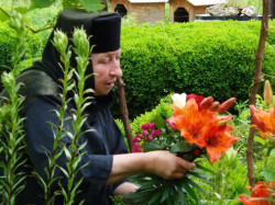 Damianka 
Mother Anisia and her flowers 
2010-09-21 13:44:53