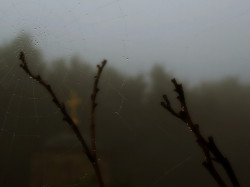 AleksaSrbin 
Кроз кишу,маглу и паучину II 
2010-09-28 23:25:27