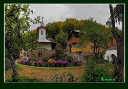 radudinu 
 
2010-09-30 09:26:52