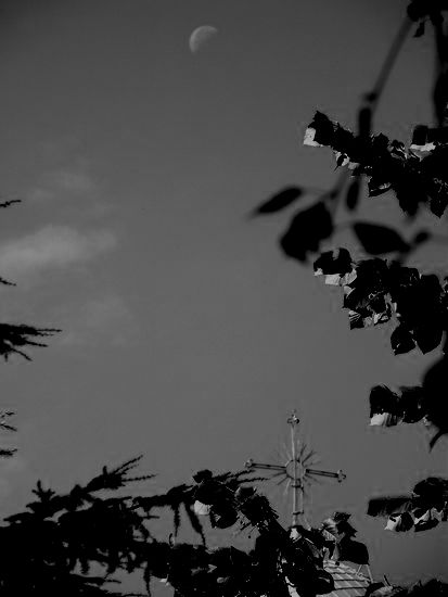the moon and the cross